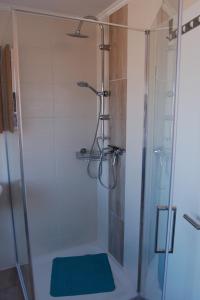 a shower with a glass door in a bathroom at Ferienwohnung Wiekenblick in Wiesmoor