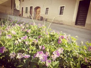 Zahrada ubytování Da Rinota in Alta Val di Non