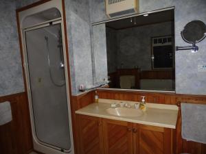 uma casa de banho com um lavatório, um chuveiro e um espelho. em Hideaway Off Heta em New Plymouth