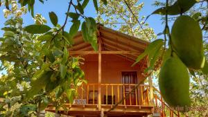Balcone o terrazza di Sigiriya Free View Tree House & Villa