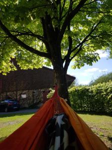 Zahrada ubytování Ferienwohnung mit Tiny House