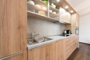 Kuchyň nebo kuchyňský kout v ubytování Apartment Bacher