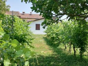 Kép La petite maison szállásáról Sirmionéban a galériában
