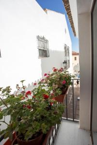 Balkon lub taras w obiekcie MONKÓ - MANGO & TROPYCAL APARTMENT o