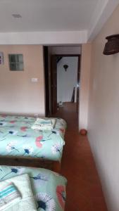 a hallway with two beds in a room at Pottery Home in Bhaktapur