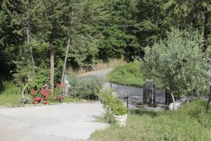 a driveway with a gate and a road with flowers at Case Vacanza S. Nicola in Viggianello