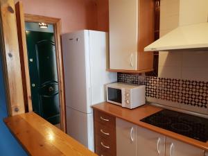 a kitchen with a white refrigerator and a microwave at Apartamentos Atlanterra COSTA Y SOL in Zahara de los Atunes