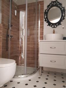 a bathroom with a shower and a toilet and a sink at Apartments Lorenco in Tisno