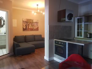 a kitchen and living room with a couch and a table at Apartments Lorenco in Tisno