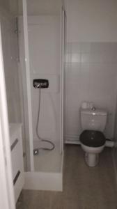 a small bathroom with a toilet and a shower at CHE F3 gauche Terrasse jardin barbecue hypercentre wifi in Cherbourg en Cotentin