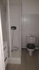 ein kleines Badezimmer mit Toilette und Dusche in der Unterkunft CHE F3 gauche Terrasse jardin barbecue hypercentre wifi in Cherbourg en Cotentin