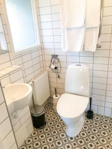 a bathroom with a white toilet and a sink at Sjöbo Gästgifvaregård in Sjöbo