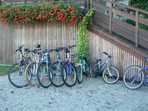 a group of bikes parked next to a wall with flowers at Gite de la Lisière du Bois in Ueberstrass