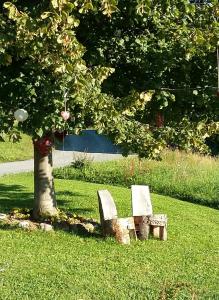 Ogród w obiekcie Urlaub im Blockhaus