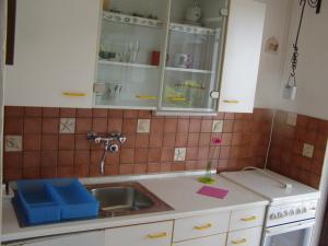 Kuchyň nebo kuchyňský kout v ubytování House Kaić