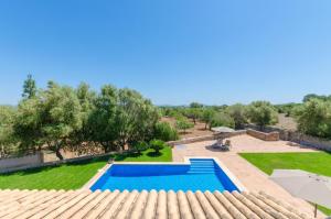 The swimming pool at or close to Es Vedat 6