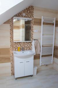 ein Bad mit einem Waschbecken und einem Spiegel in der Unterkunft Apartmán U Fuxů in Žleby