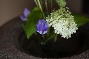 Fotografie z fotogalerie ubytování Bed & Breakfast Tsukiya v Kjótu