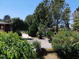 Gallery image of Affittacamere Villa Brazzano in Scalea +26 photos