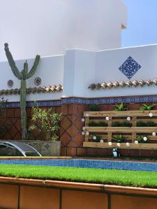 a patio with a cactus and a swimming pool at ROOMQUEO-Only Adults in Barbate