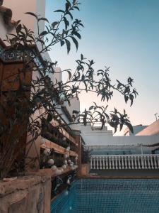 a house with a swimming pool and a tree at ROOMQUEO-Only Adults in Barbate