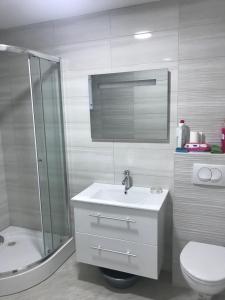 W łazience znajduje się umywalka, prysznic i toaleta. w obiekcie Luda kuća w Barze