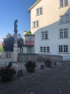 Zahrada ubytování Good4Yew BnB