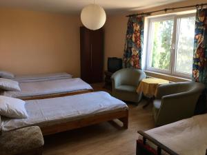 um quarto com 2 camas, uma cadeira e uma janela em Noclegi Tulipan em Konin