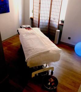 Lázně a/nebo wellness v ubytování Good4Yew BnB