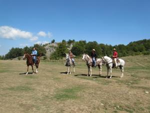 a group of people riding horses in a field at Montagne Rocciose in Frascineto