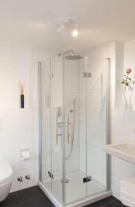 een glazen douche in een badkamer met een toilet en een wastafel bij Boardinghouse s' Johanner in Saarbrücken