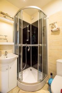 eine Dusche im Bad mit Waschbecken und WC in der Unterkunft Mini dvivietis in Vilnius