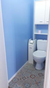 a bathroom with a toilet and a blue wall at Appartement dernier étage Hyper Centre in Granville +9 photos