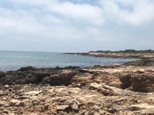 Fotografie z fotogalerie ubytování Bungalow Las Pergolas v destinaci Peñíscola