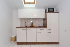 Kuchyň nebo kuchyňský kout v ubytování Apartments Golub