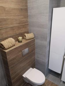 Golden Mazury Apartament tesisinde bir banyo