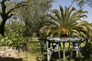a table and chairs in a garden with a palm tree at Il Boschetto in Porto SantʼElpidio