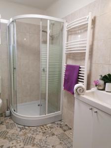 y baño con ducha y lavamanos. en Villa Vonyarc, en Vonyarcvashegy