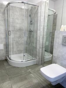 uma casa de banho com um chuveiro e um WC. em OLIVIA em Osiek