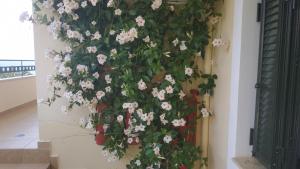 ポウリトラにあるHotel Patelisの白花の壁