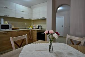 A kitchen or kitchenette at City Apartments