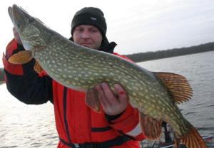 Afbeelding uit fotogalerij van -Waldhaus-Fewo 4 in Granzow