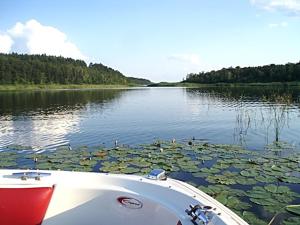 Afbeelding uit fotogalerij van -Waldhaus-Fewo 4 in Granzow