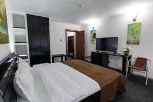 une chambre d'hôtel avec un lit et une télévision dans l'établissement Pensiunea Admiraz, à Durau