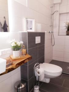 een witte badkamer met een toilet en een douche bij Ferienwohnung Martinschitz in Sankt Kanzian