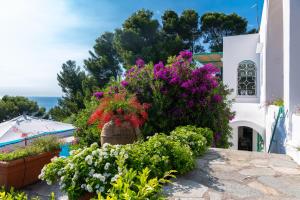 a garden of flowers in front of a building at Il Carrubo Capri in Anacapri