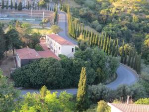 z góry widok na ulicę z drzewami i budynek w obiekcie L'Orizzonte di Nocchi Manrico w mieście Rosignano Marittimo