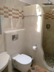 a white bathroom with a toilet and a shower at Infinity Apartments in Naxos Chora