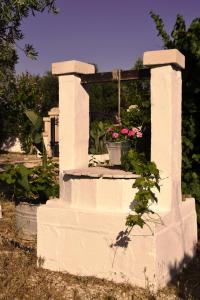 Zahrada ubytování Masseria 77