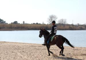een persoon op een paard op het strand bij Els Masos d'en Coll in Llaviá